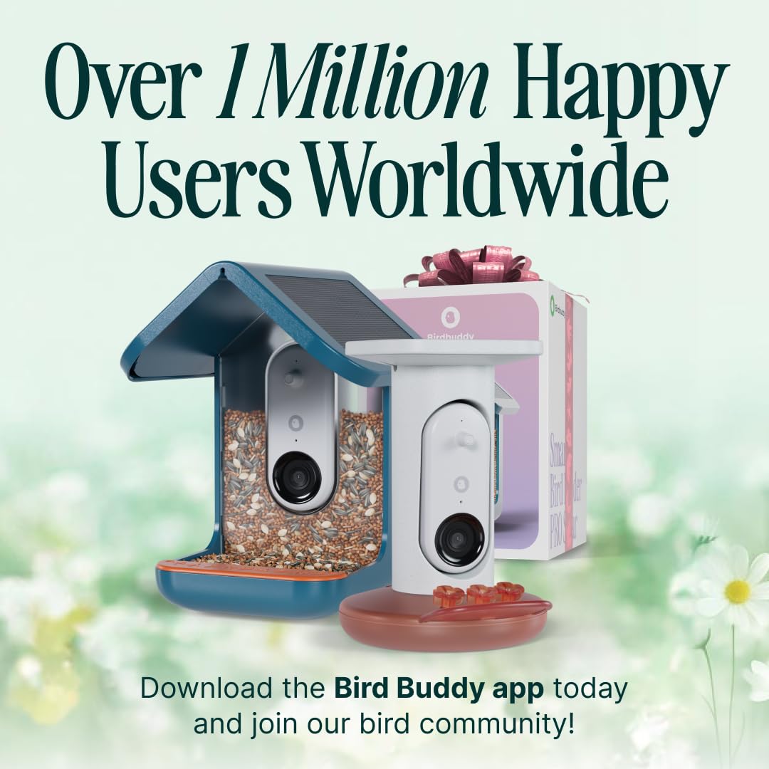 BIRD BUDDY Birdbuddy PRO Solar Smart Bird Feeder with Camera