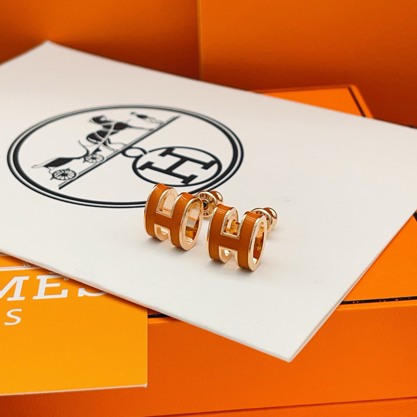 Hermes earrings-75