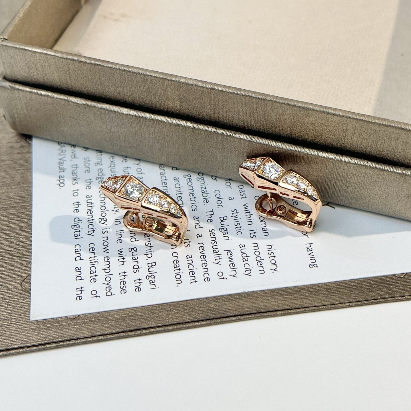 Bottega Veneta earrings-43