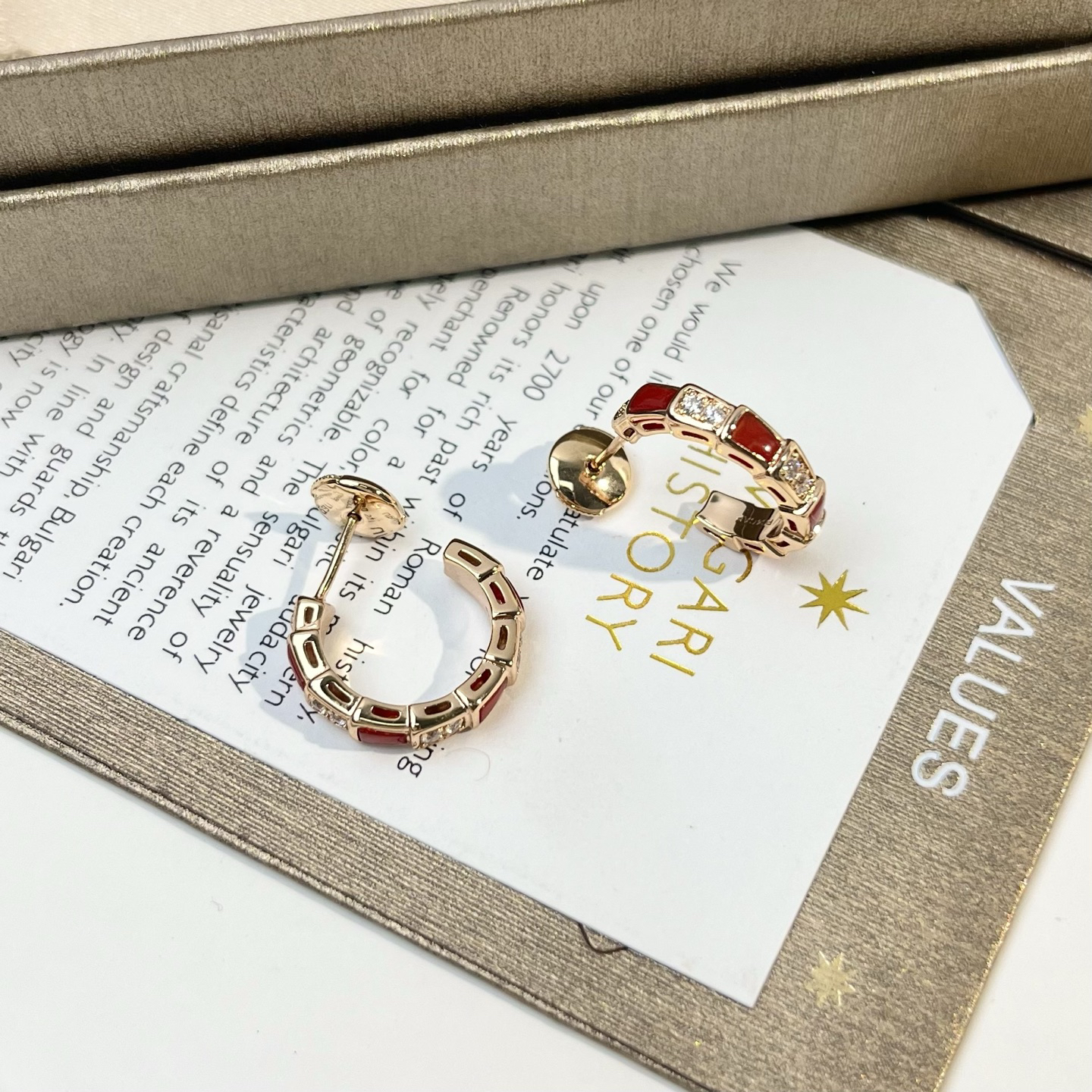 Bottega Veneta earrings-19