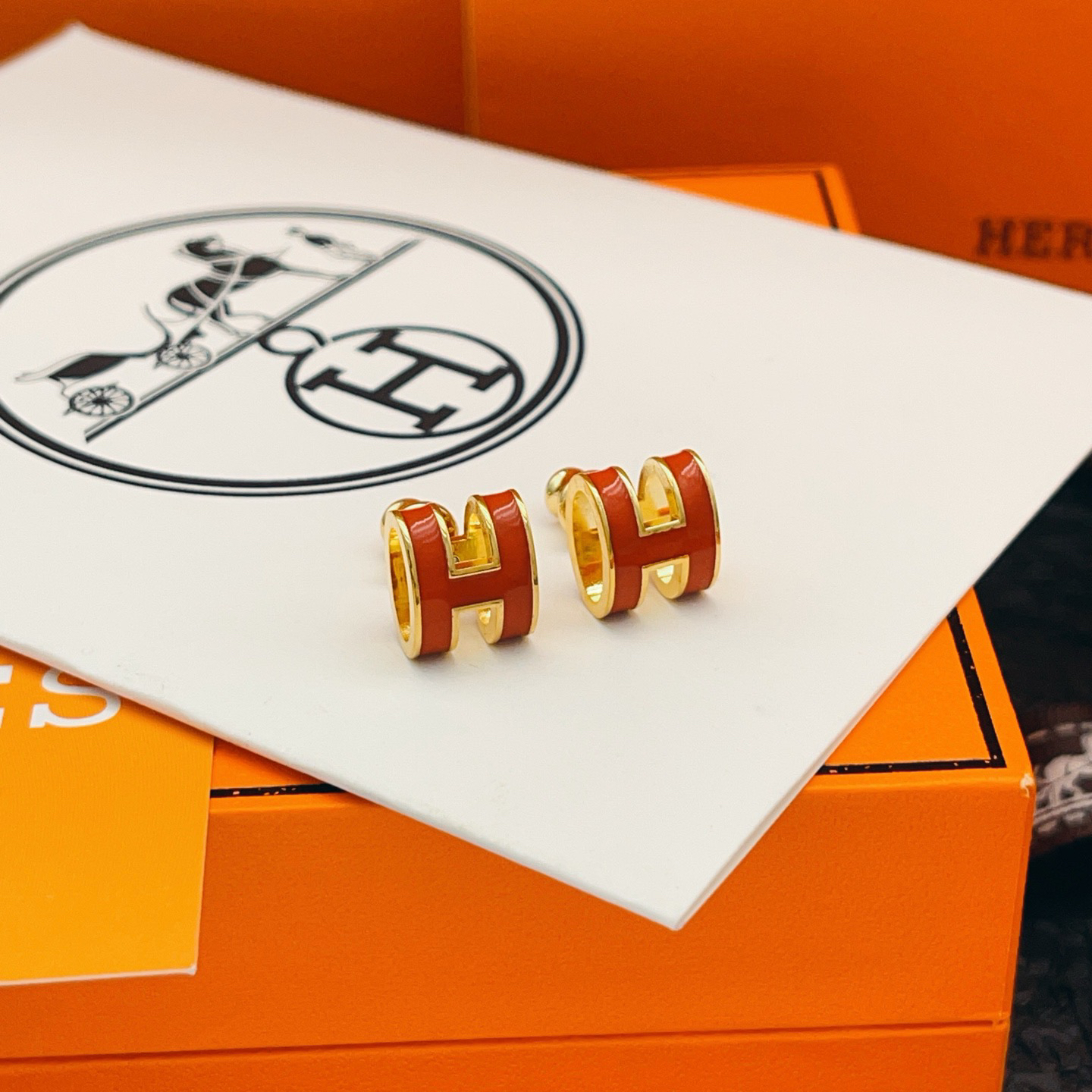 Hermes earrings-73