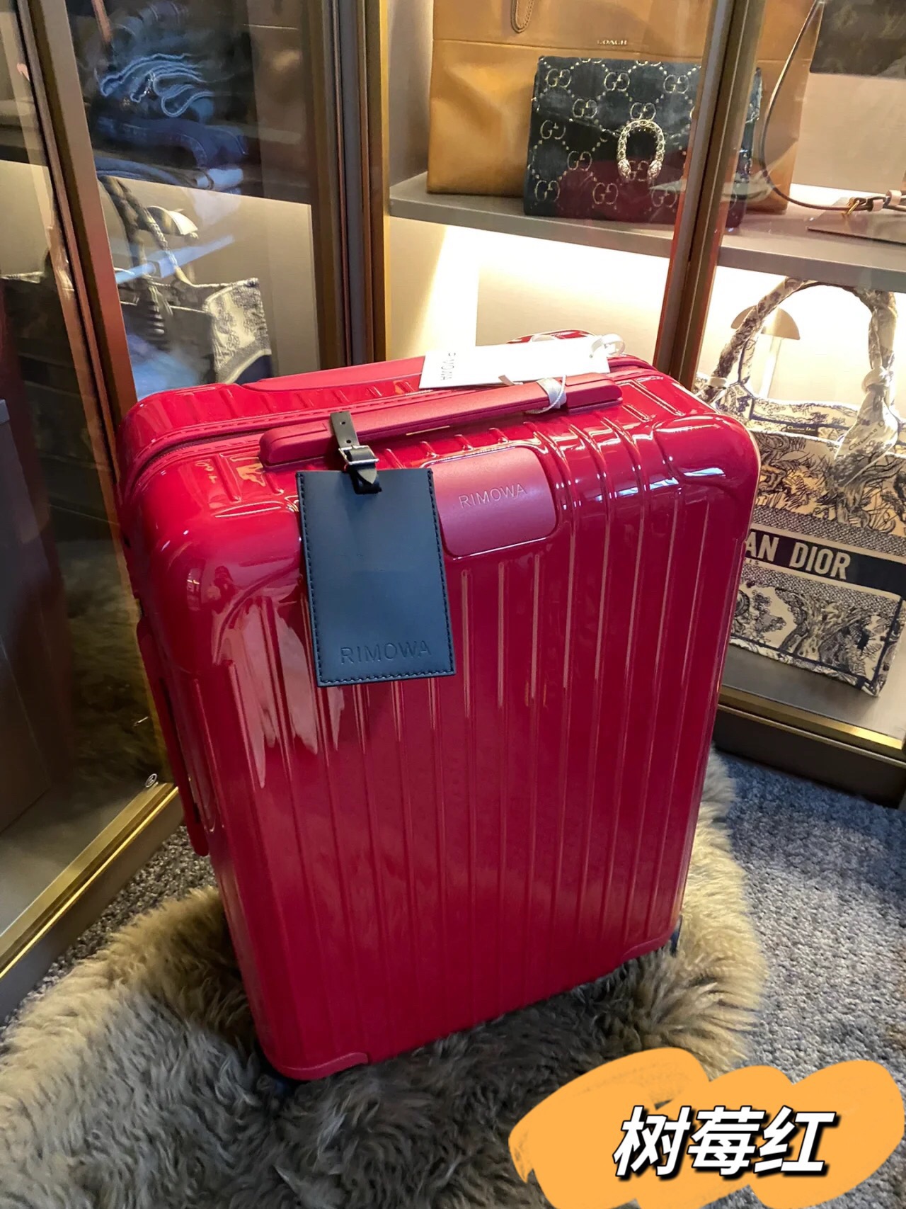 RIMOWA luggage-103