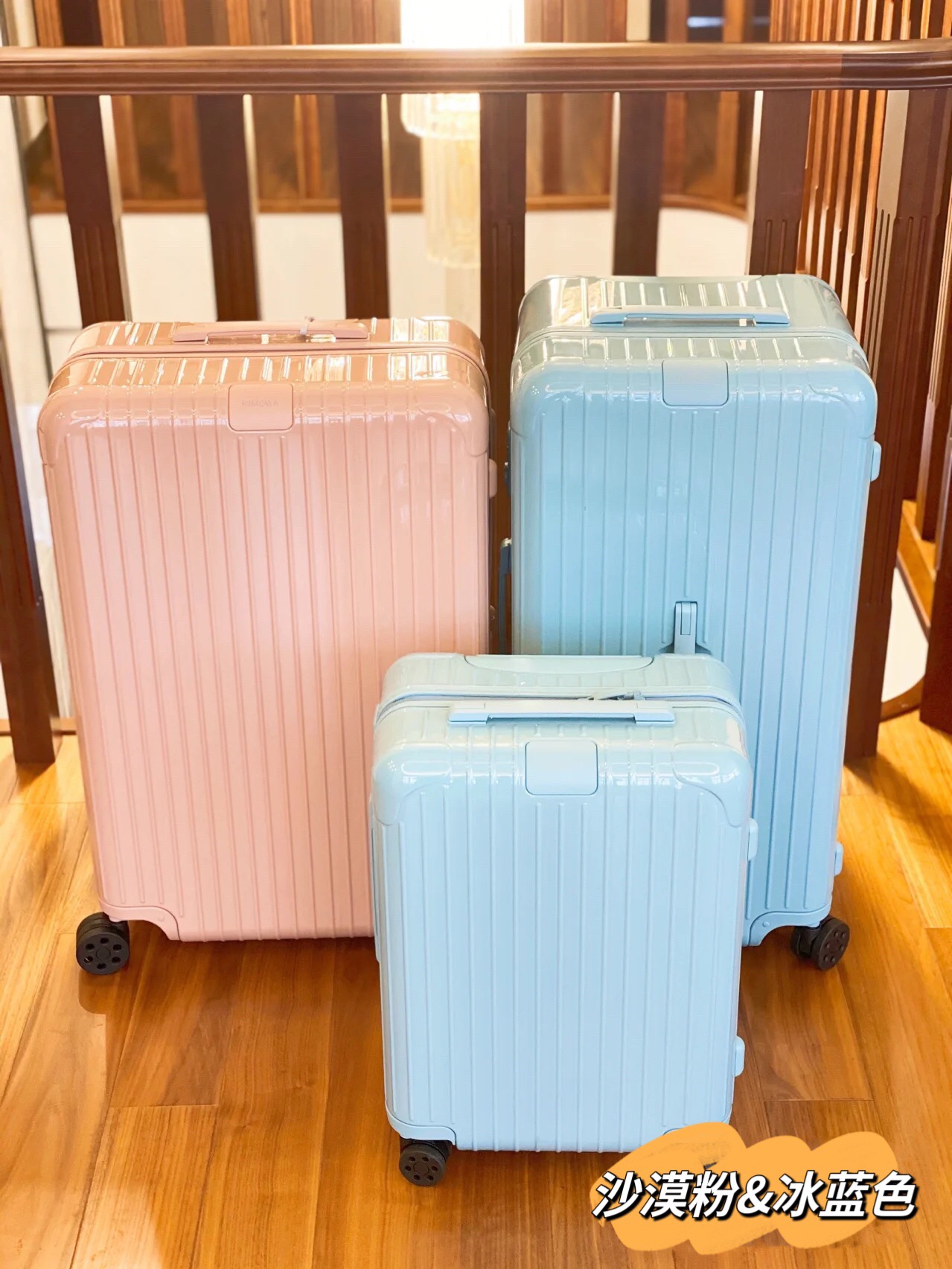 RIMOWA luggage-103