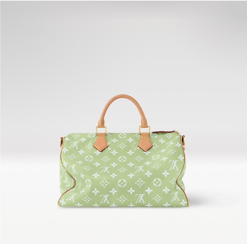 Louis Vuitton Hot New Product-115