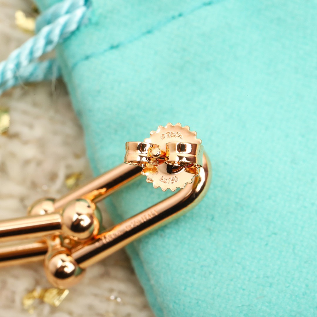 tiffany earrings-49