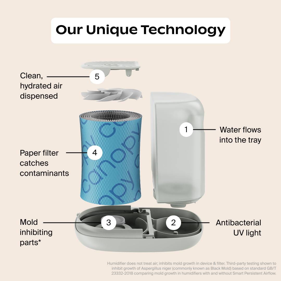 CANOPY Bedside Humidifier 2.0 - 36 HR Run Time, 2.5L Capacity