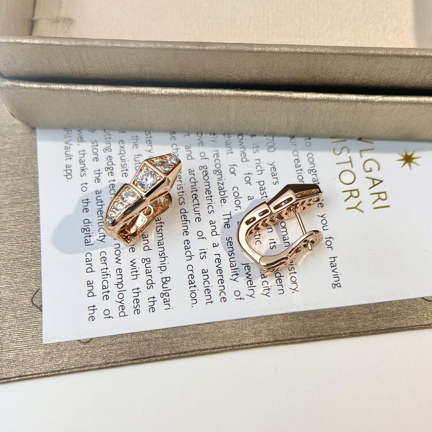 Bottega Veneta earrings-43