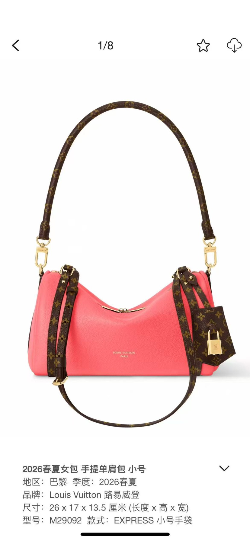 Louis Vuitton Hot New Product-222
