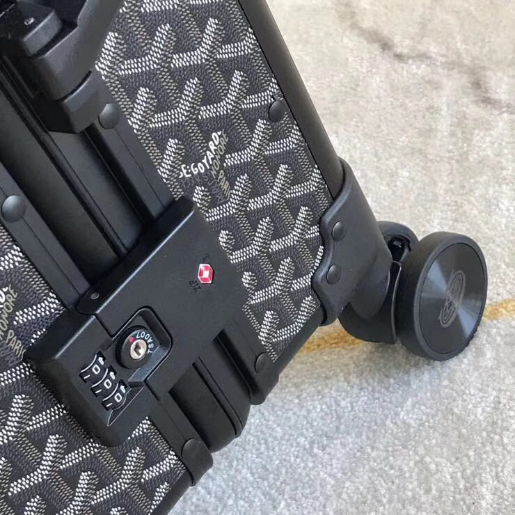 Goyard luggage-50