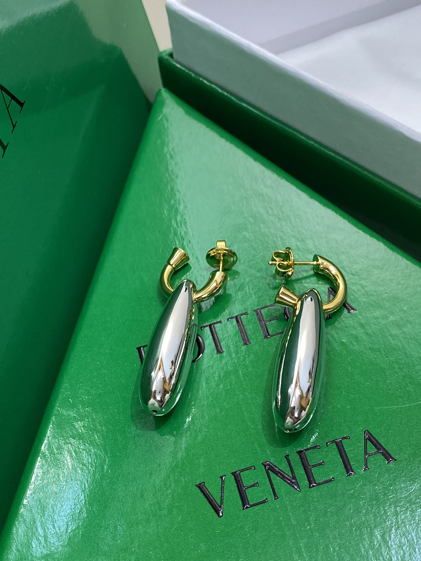 Bottega Veneta earrings-70