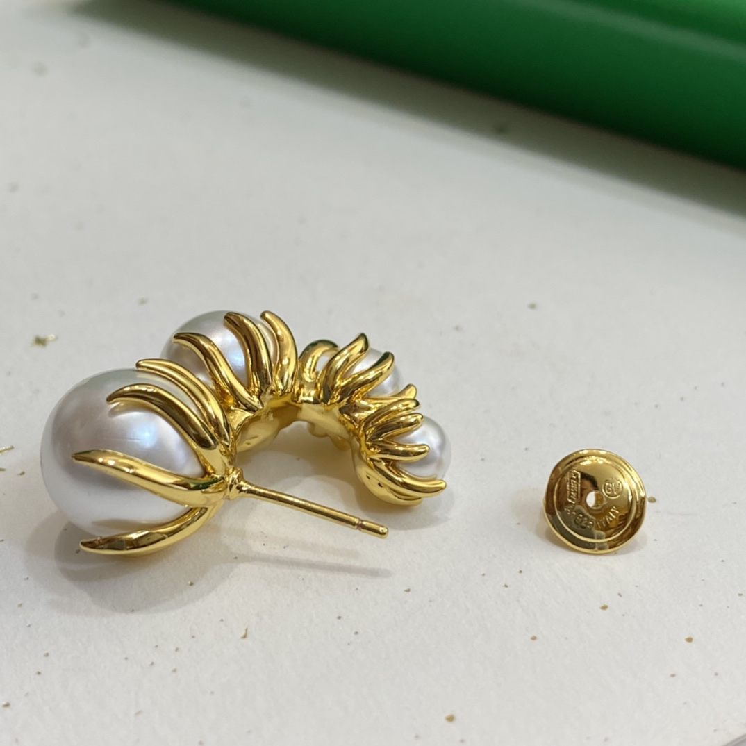 Bottega Veneta earrings-13