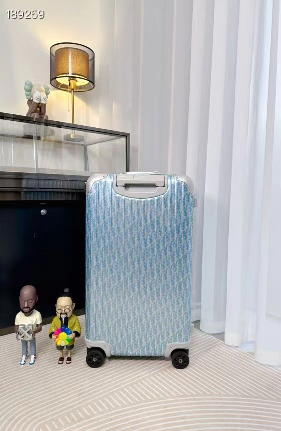 Dior luggage-1
