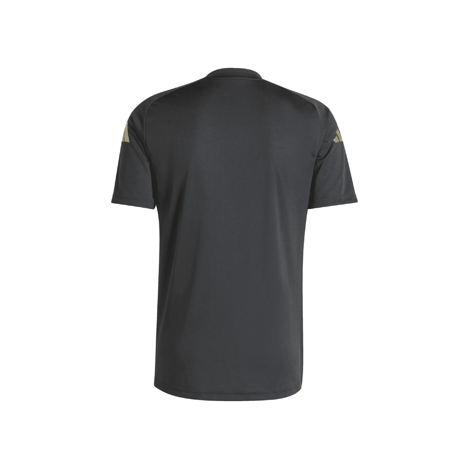Argentina 2024 Warm Up Jersey - Men's