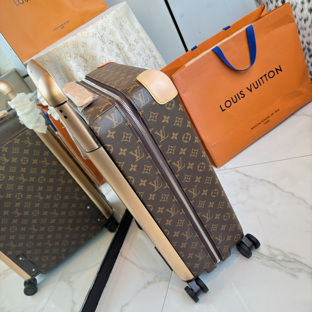 LV luggage-79