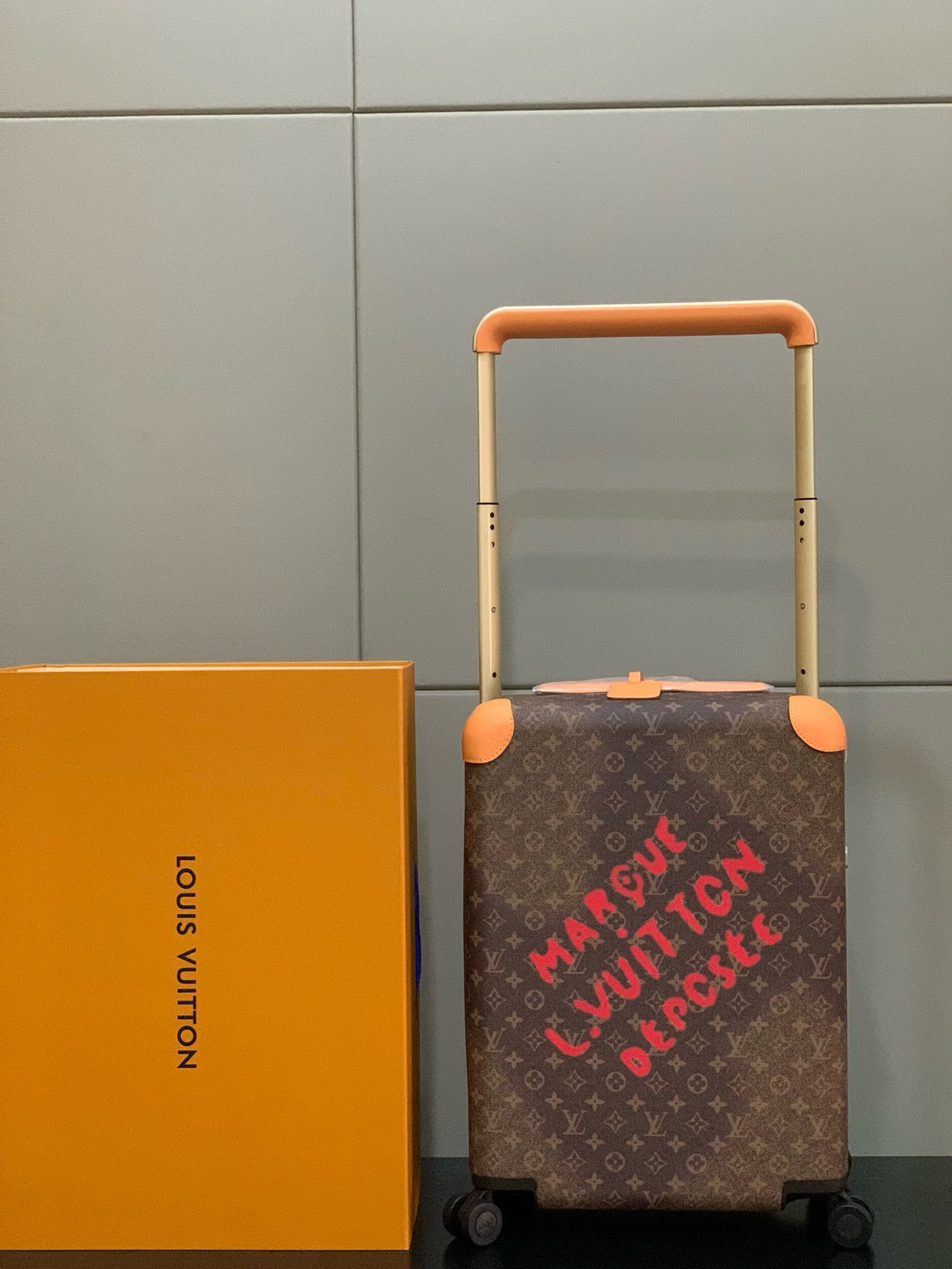 LV luggage-29