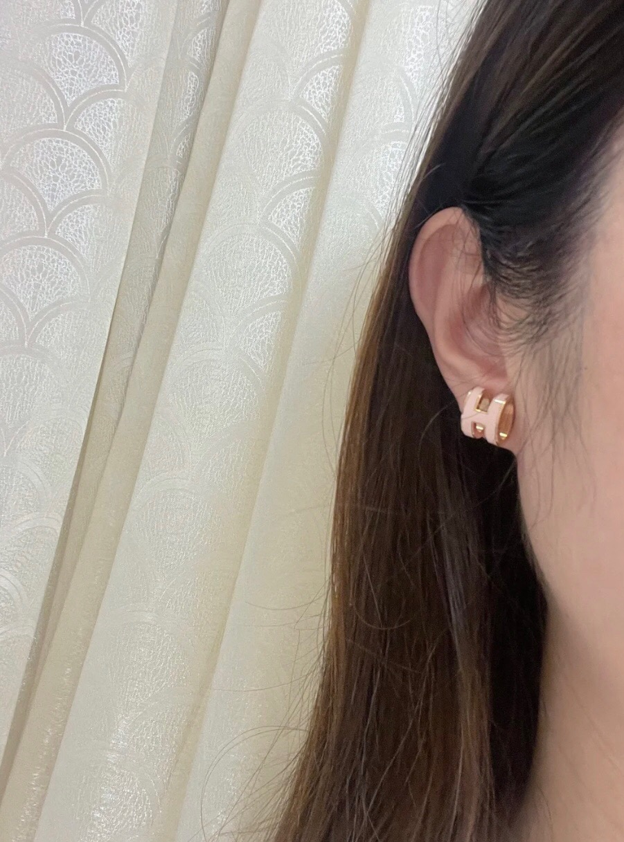 Hermes earrings-80