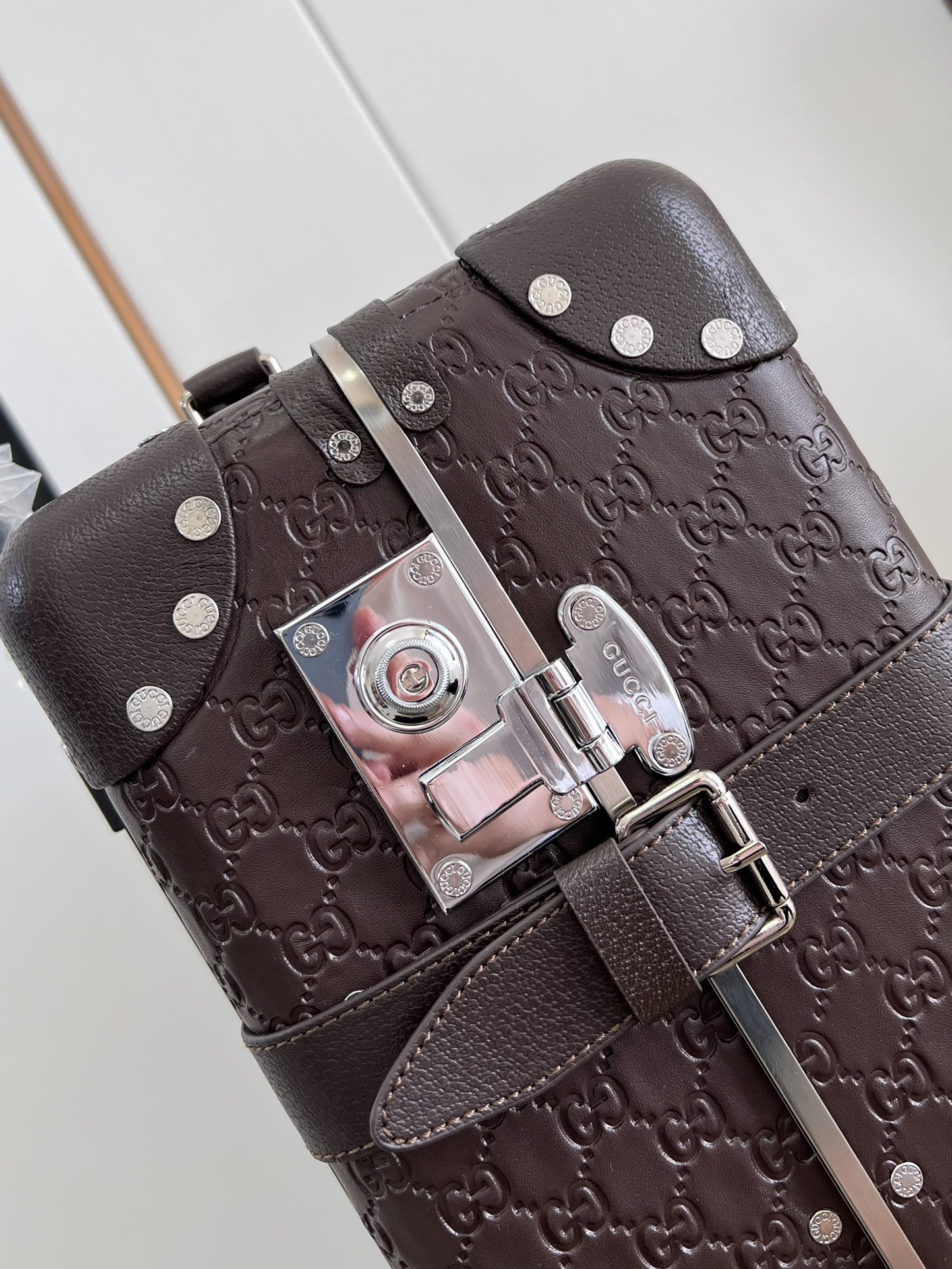 Gucci luggage-4