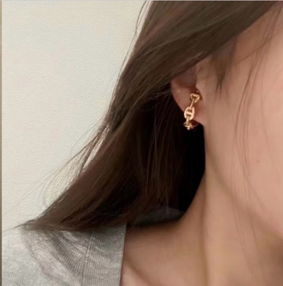 Hermes earrings-40