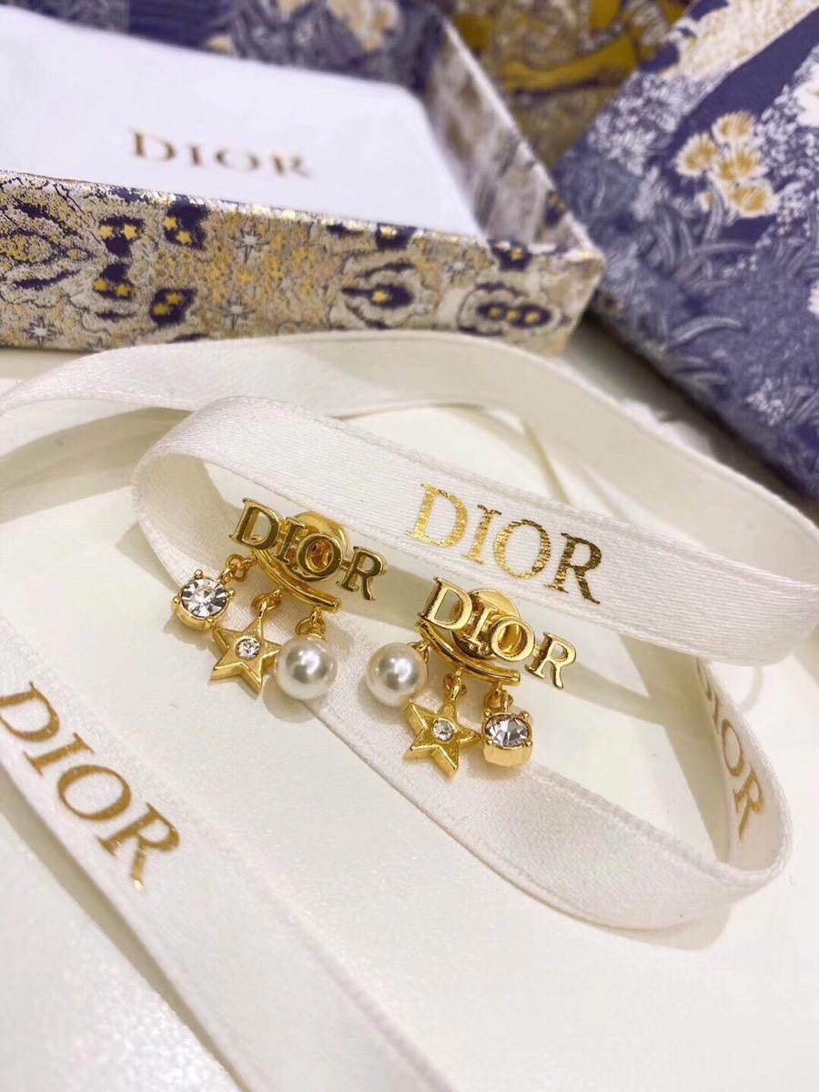Dior earrings-46