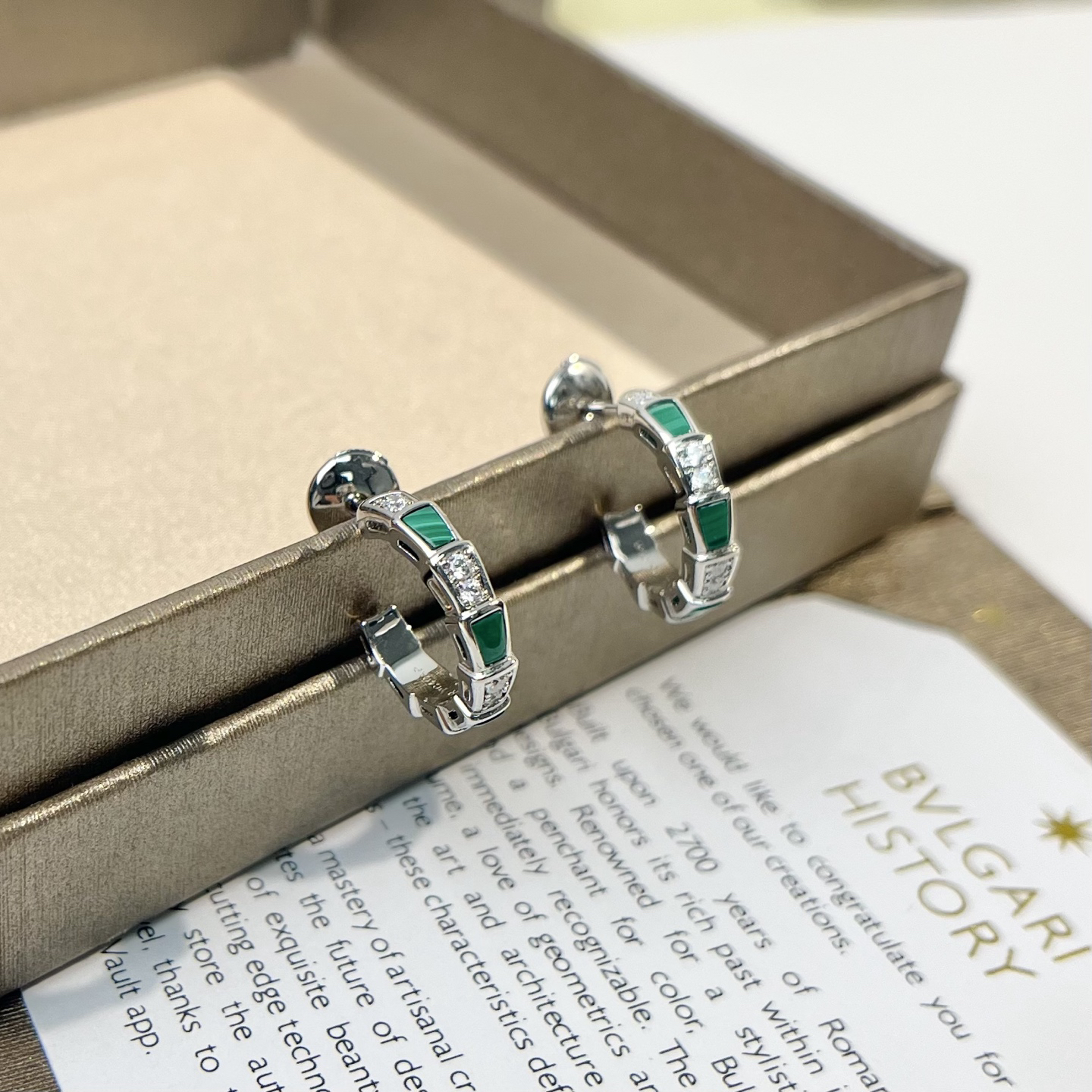 Bottega Veneta earrings-6