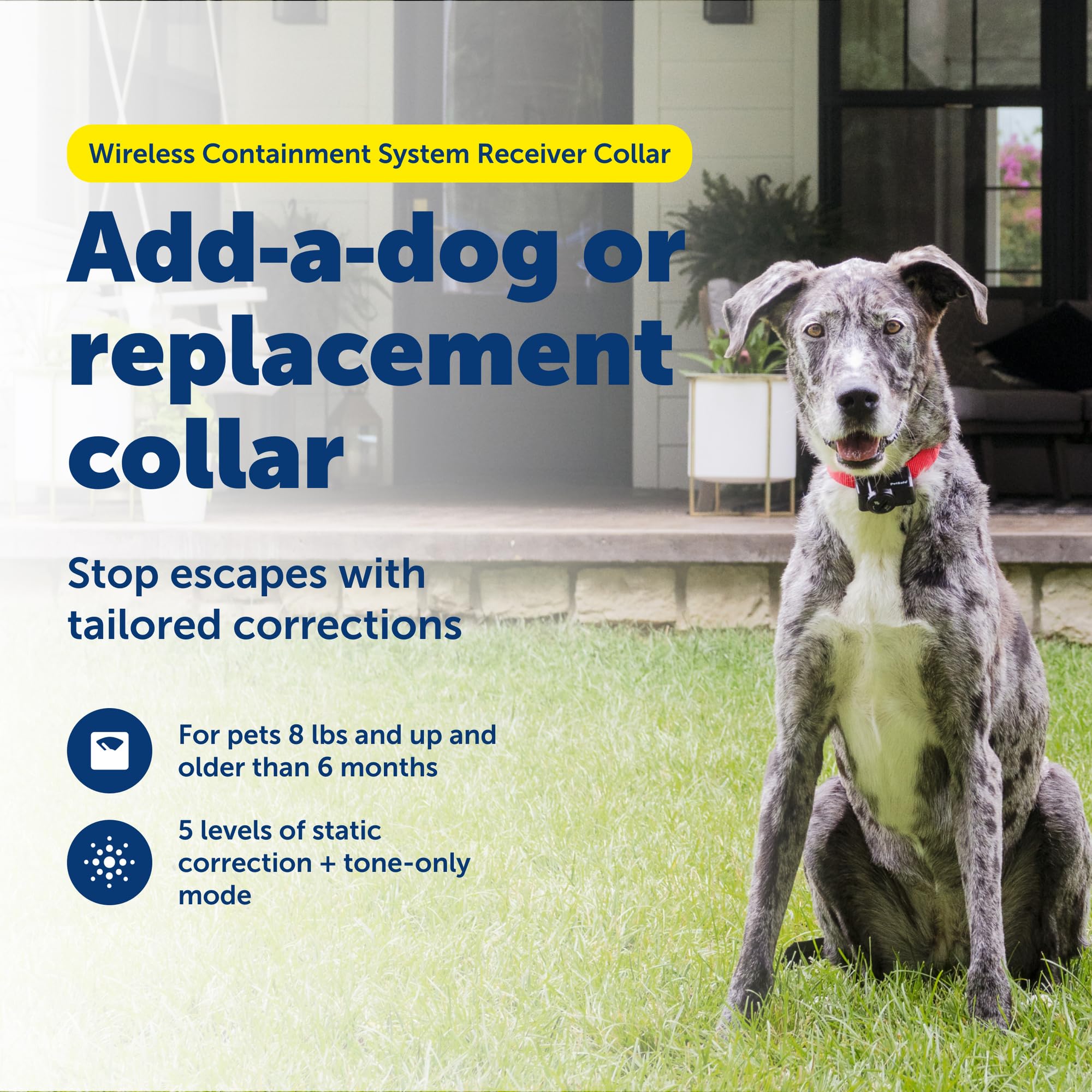PETSAFE Wireless Pet Containment System Receiver Collar