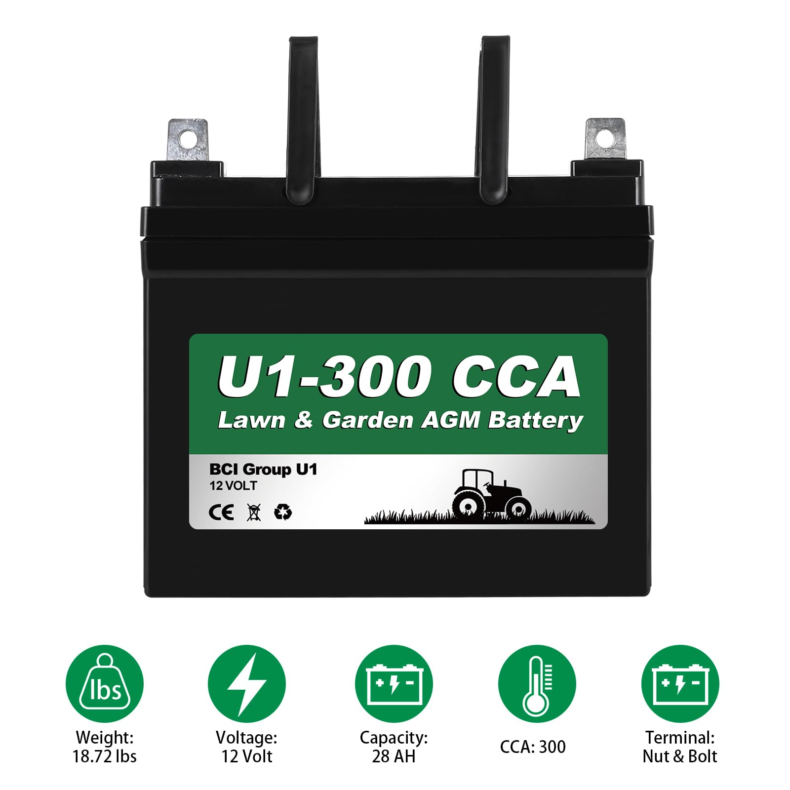 WEIZE Lawn Garden AGM Battery 12V 300CCA BCI Group U1