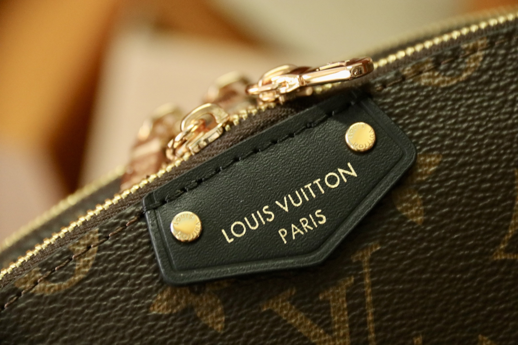 Louis Vuitton Hot New Product-194