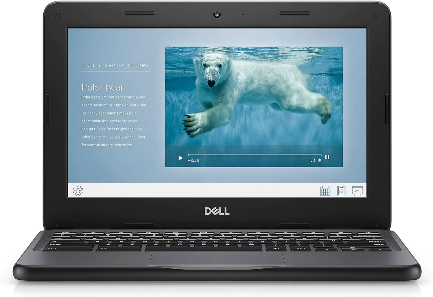 Dell Chromebook 11 3100 11.6
