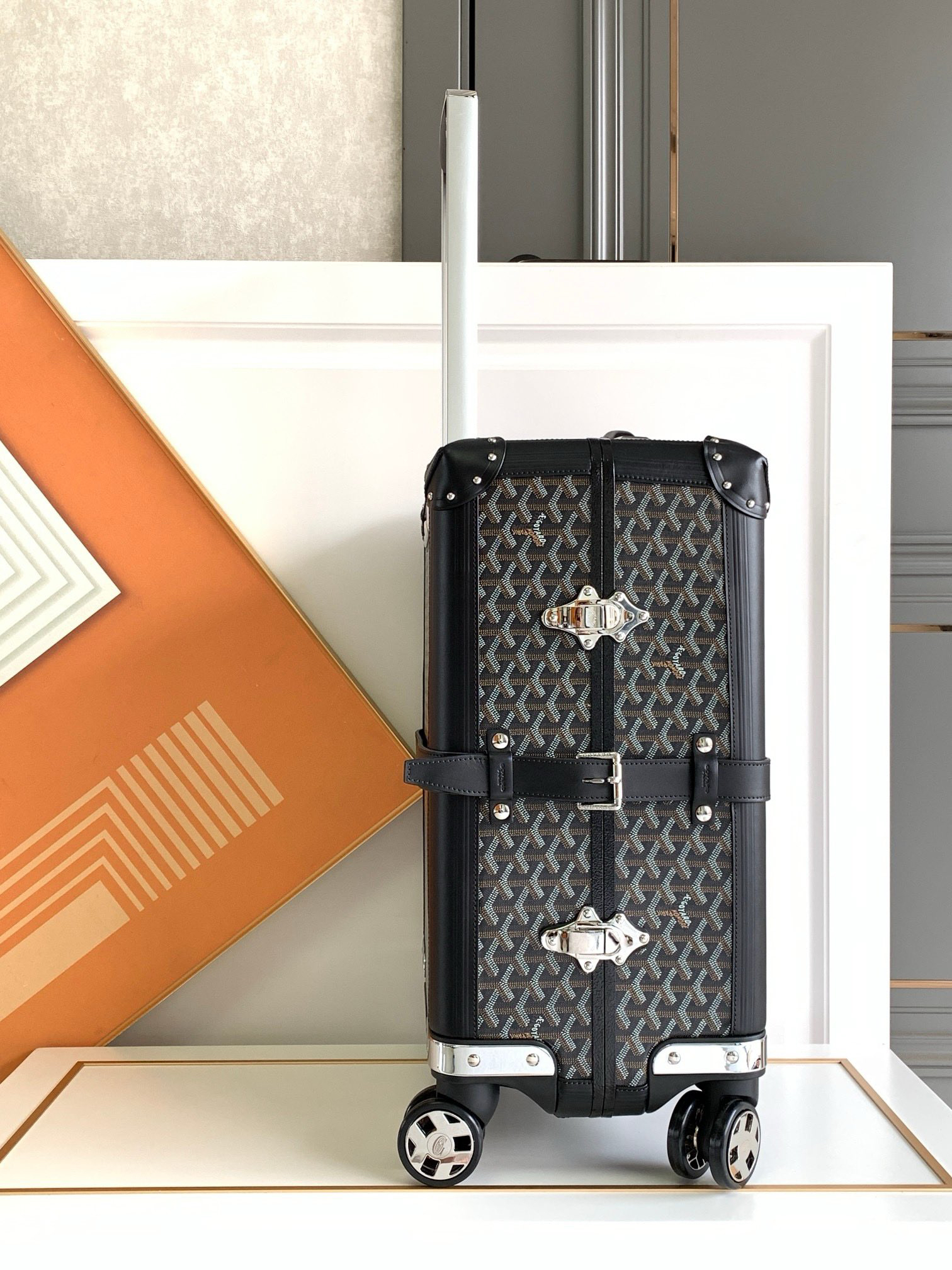 Goyard luggage-35