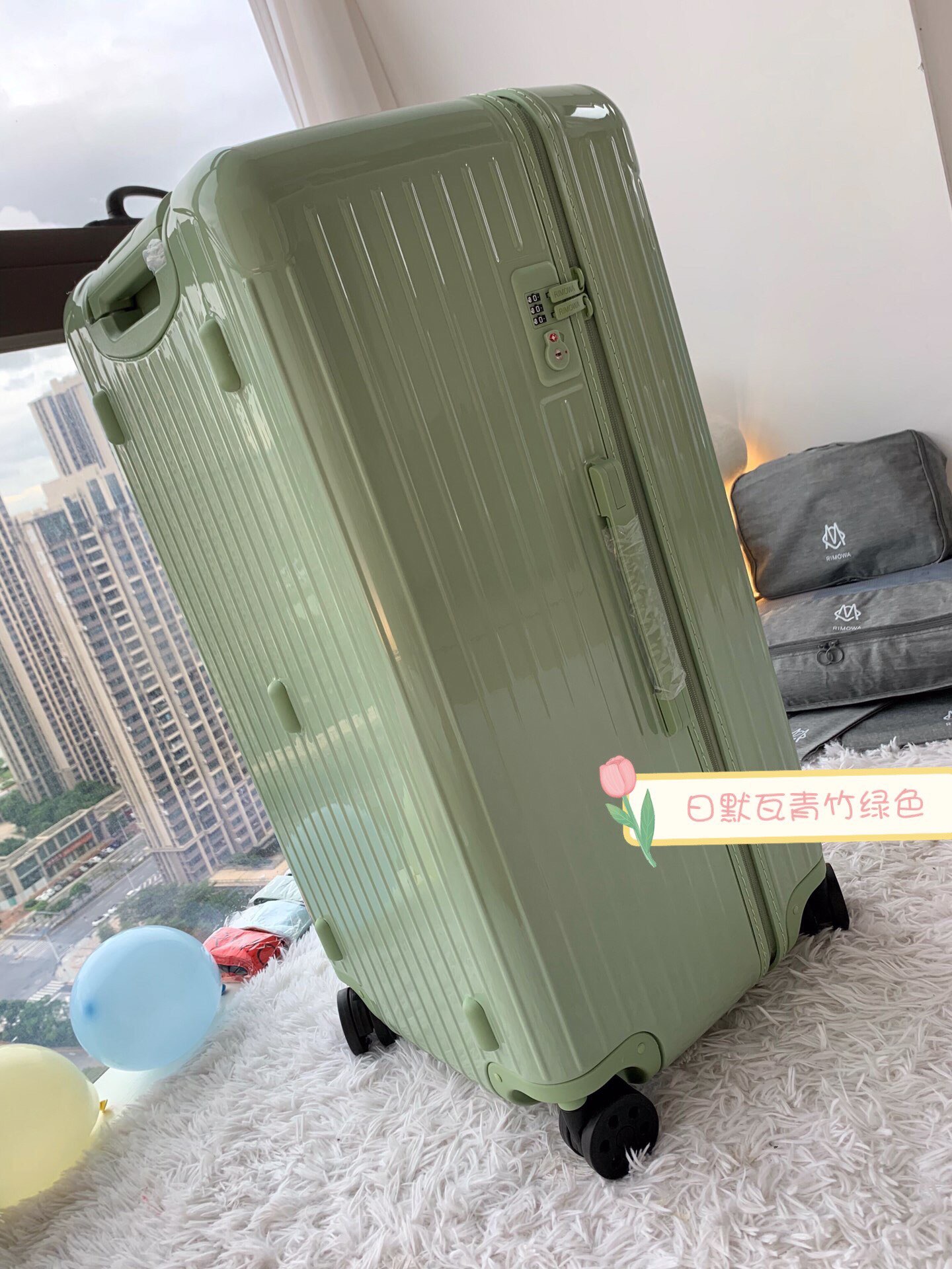RIMOWA luggage-108