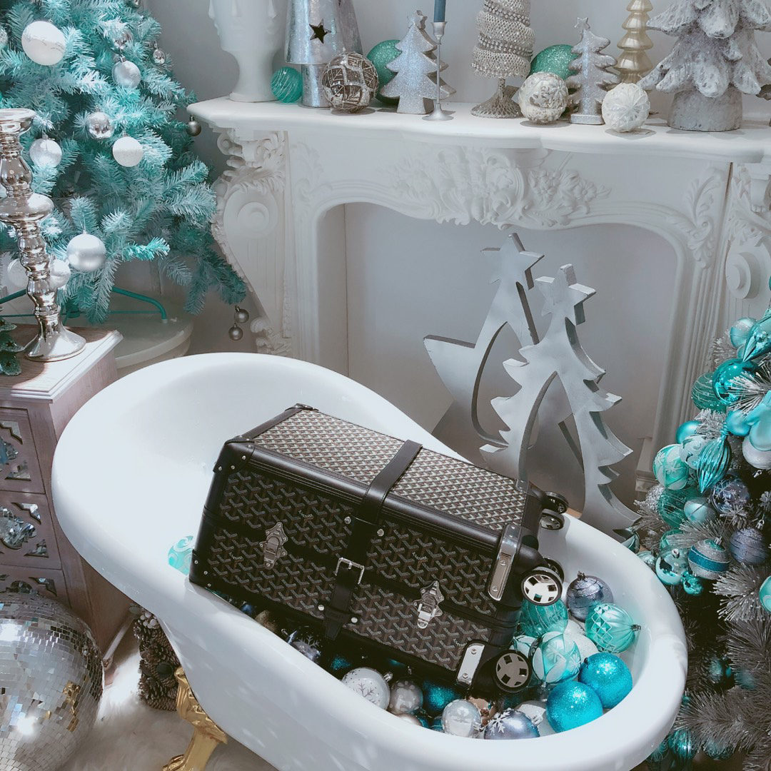 Goyard luggage-26