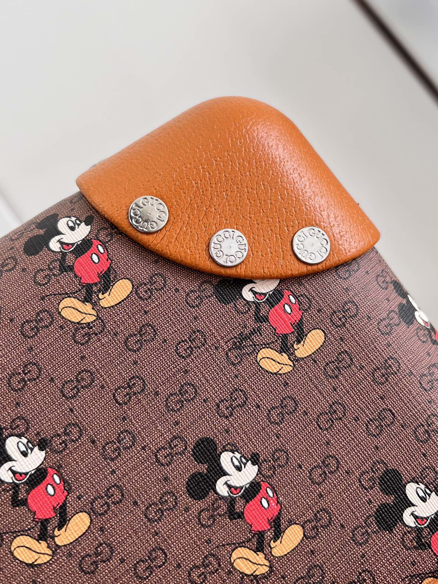 Gucci luggage-2