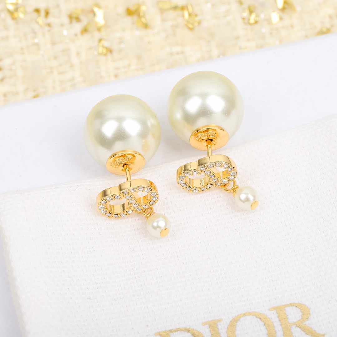 Dior earrings-56