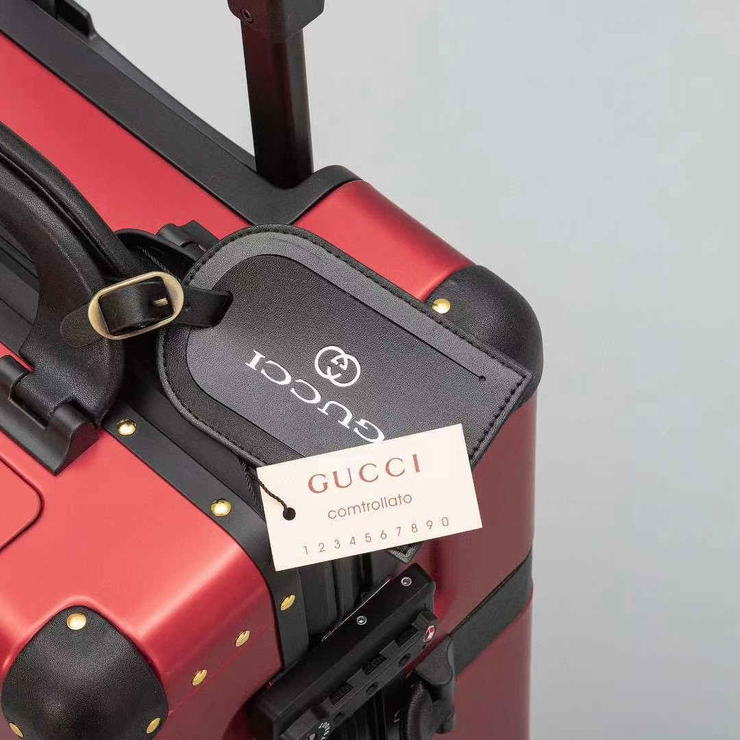 Gucci luggage-11