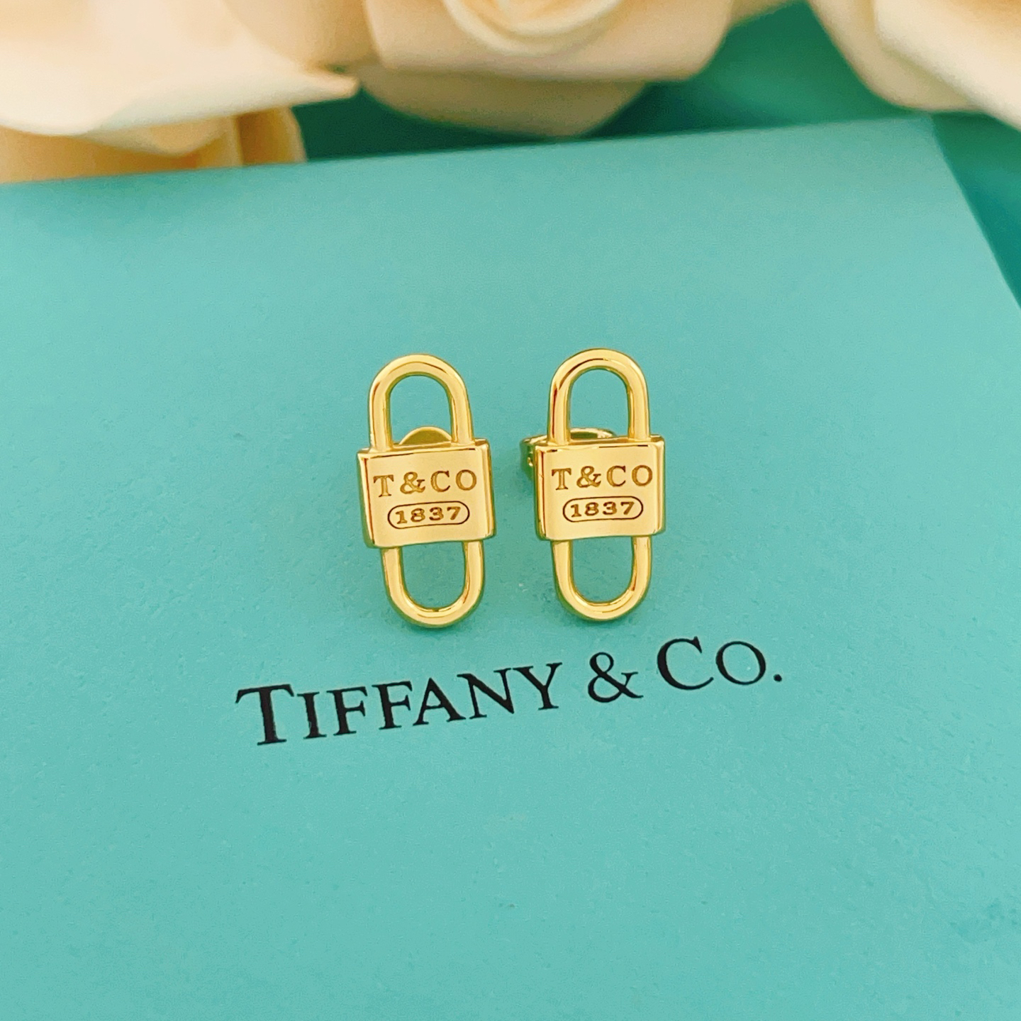 tiffany earrings-70