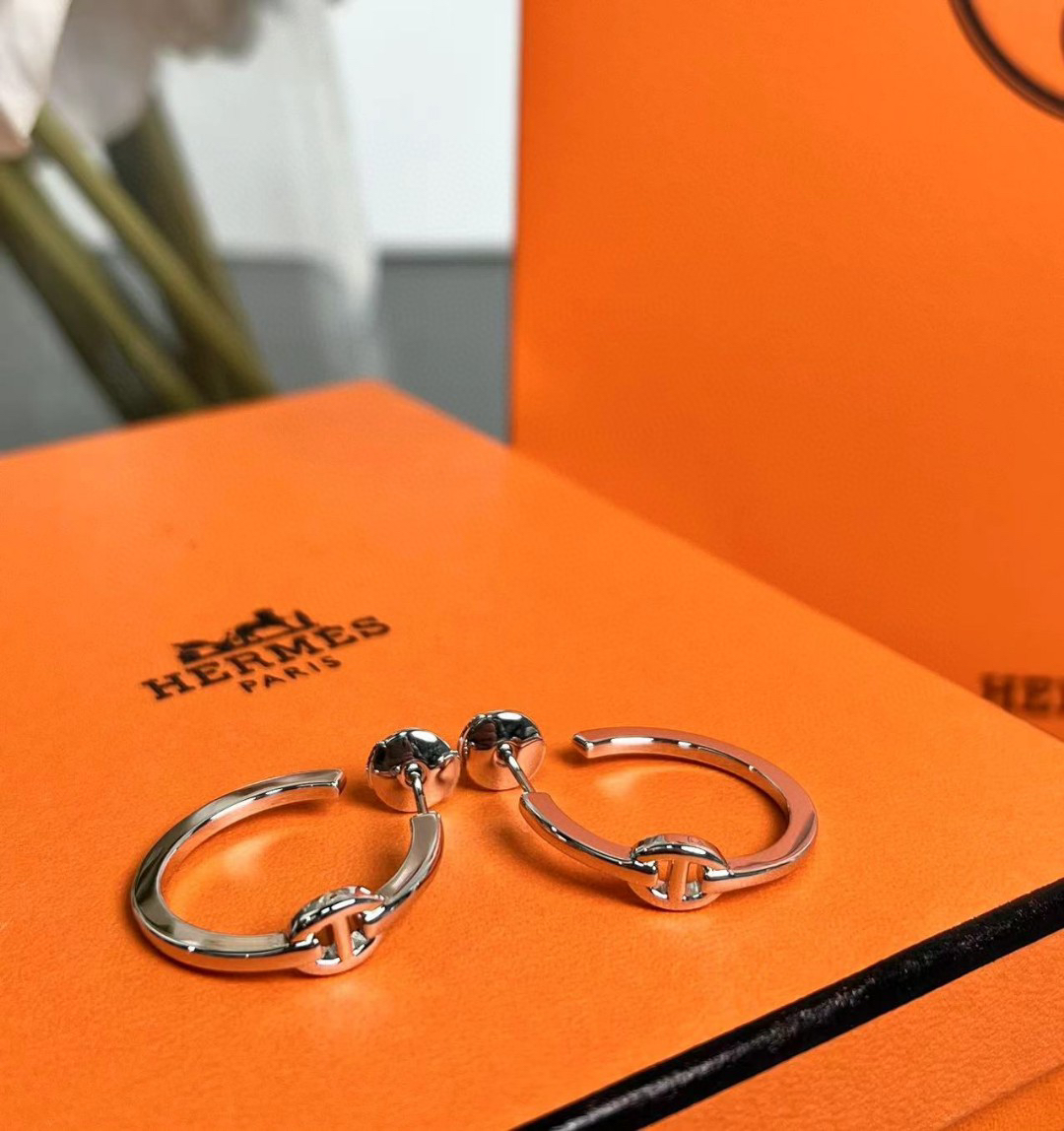 Hermes earrings-61
