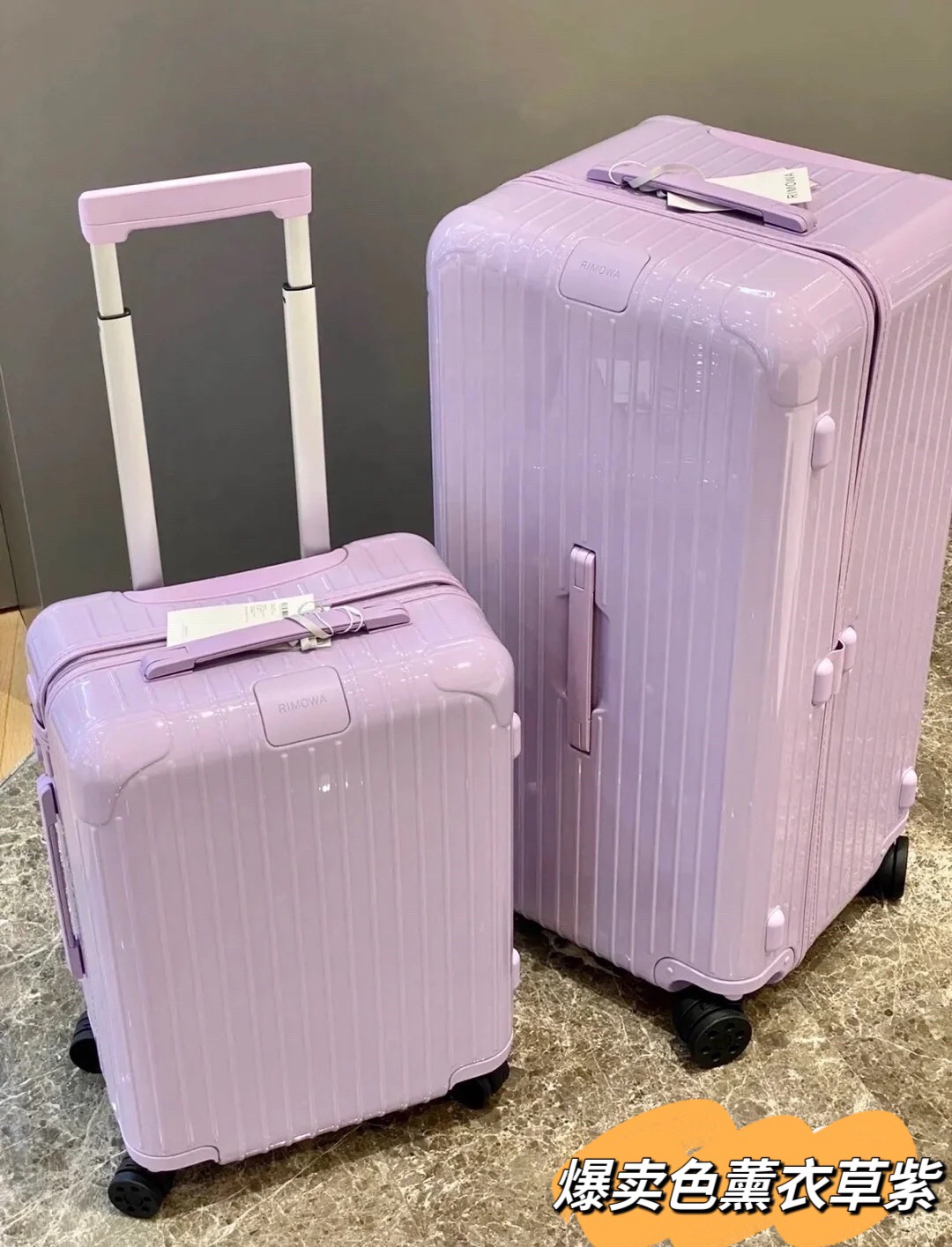 RIMOWA luggage-103