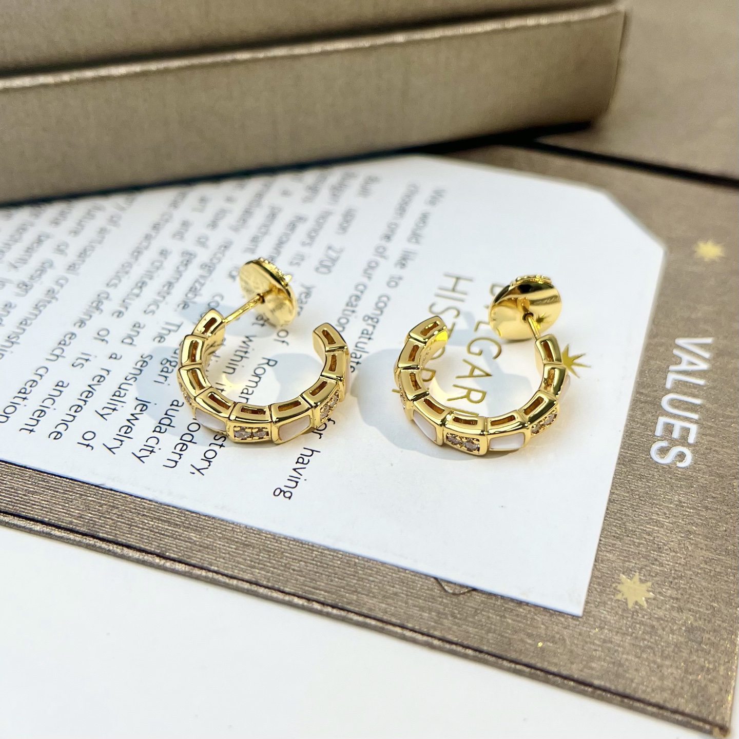 Bottega Veneta earrings-7