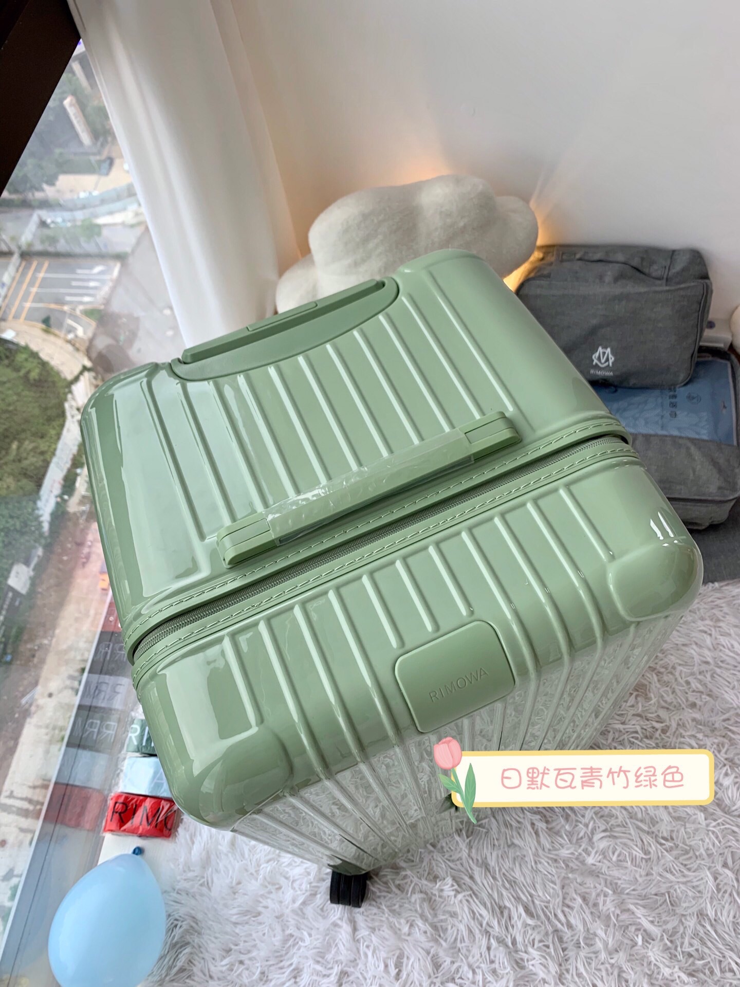 RIMOWA luggage-108