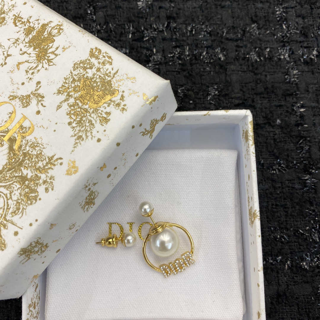 Dior earrings-84