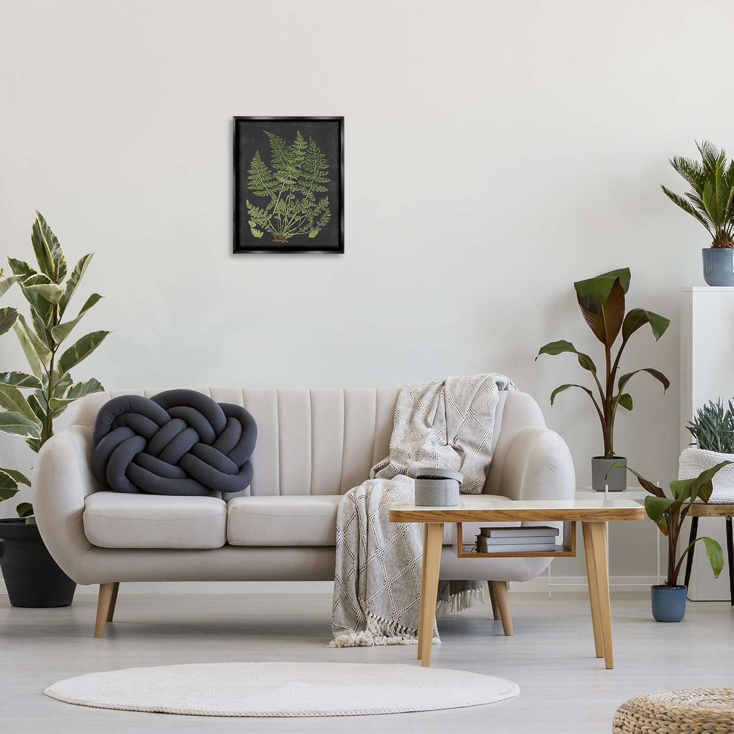 Stupell Industries 'Scientific Botanical Fern Drawing', Floating Frame Canvas Art, Black, 17 x 21 Inches, Easy to Hang and Sturdy, Made in USA, by Lettered and Lined