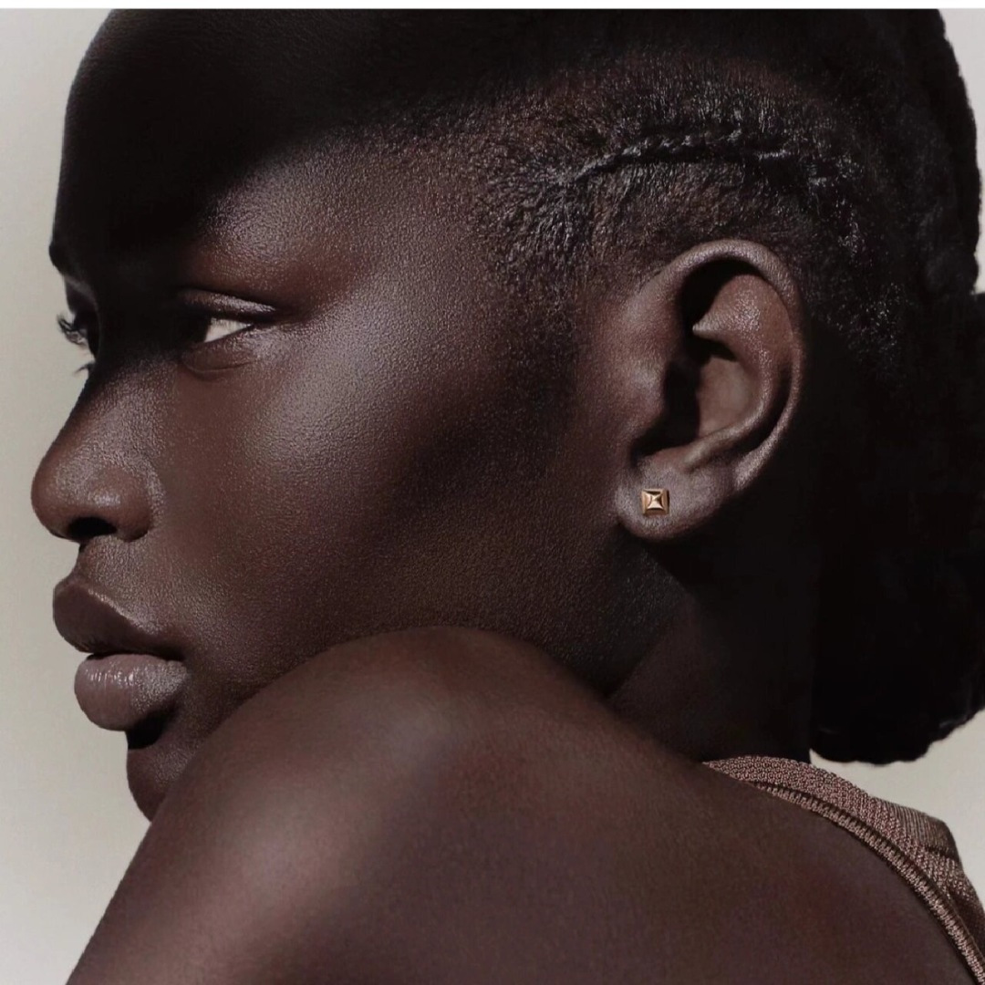 Hermes earrings-32