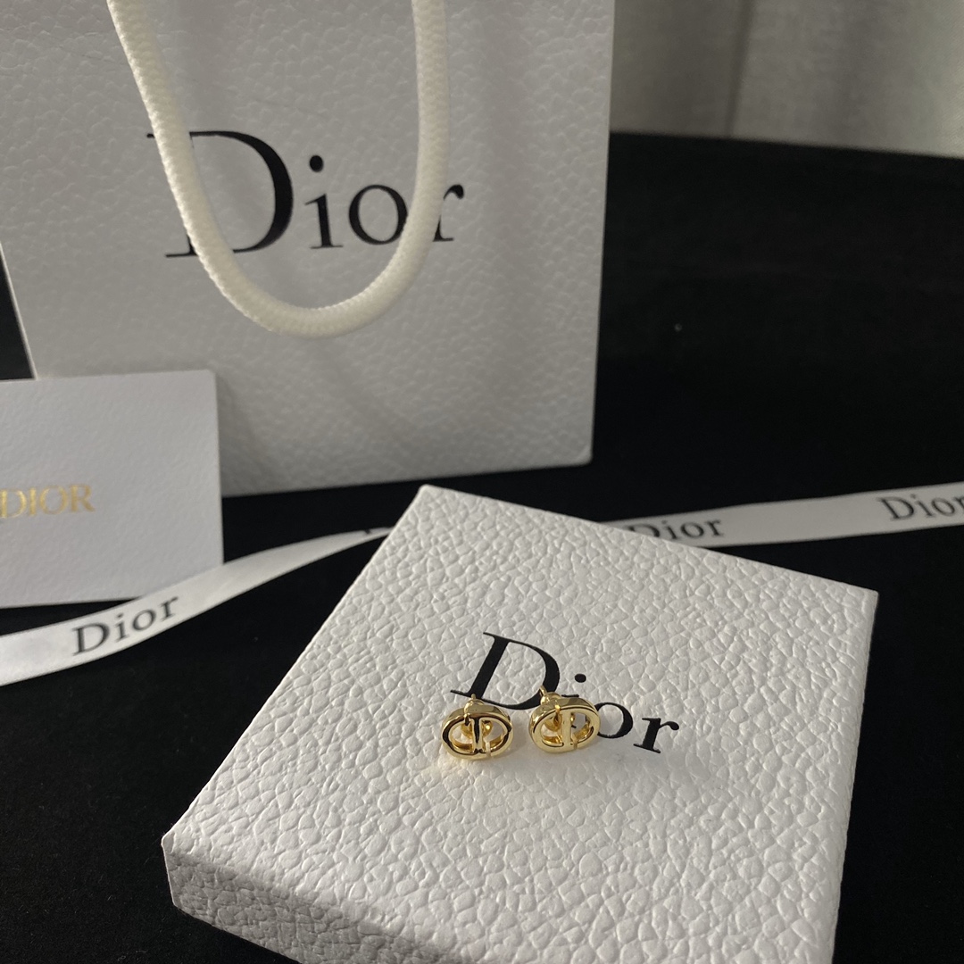 Dior earrings-42