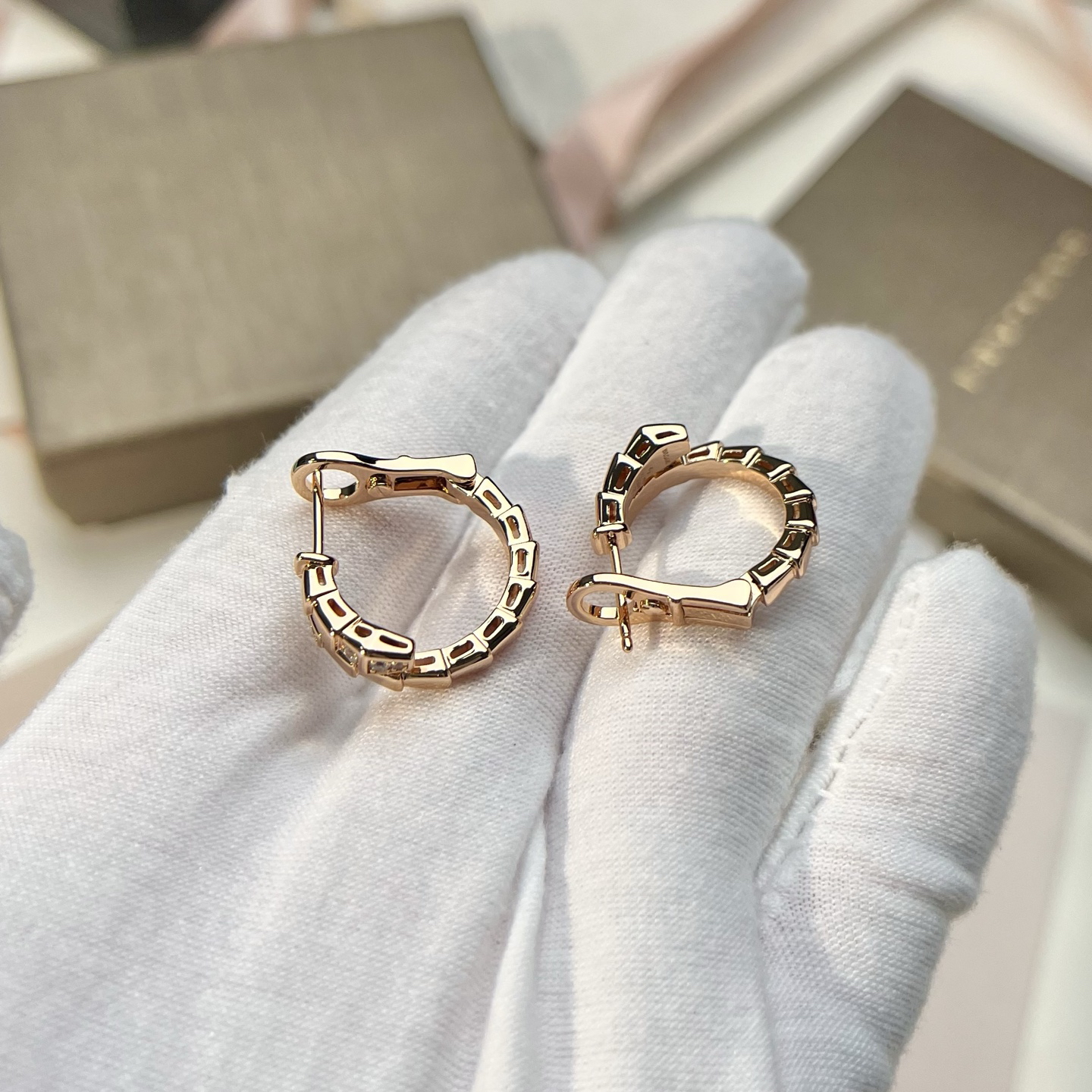 Bottega Veneta earrings-27
