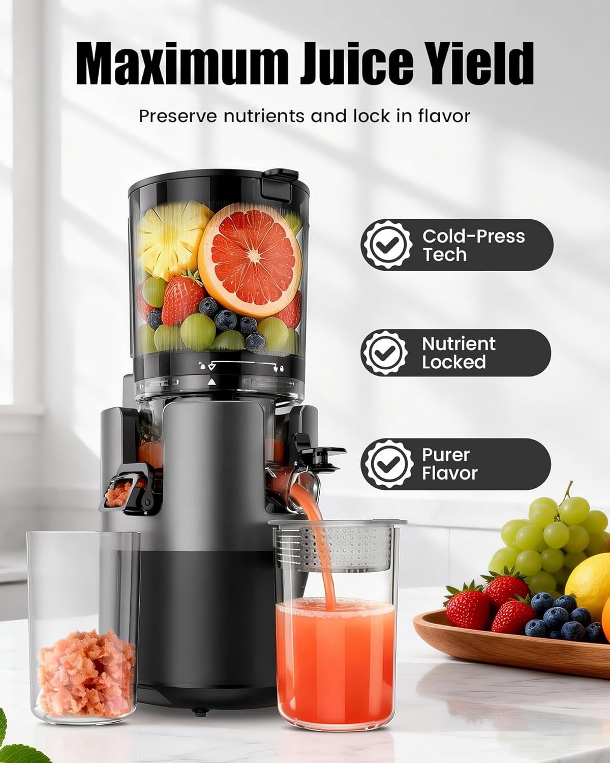 Juicer Machines, Cold Press Juicer with 6