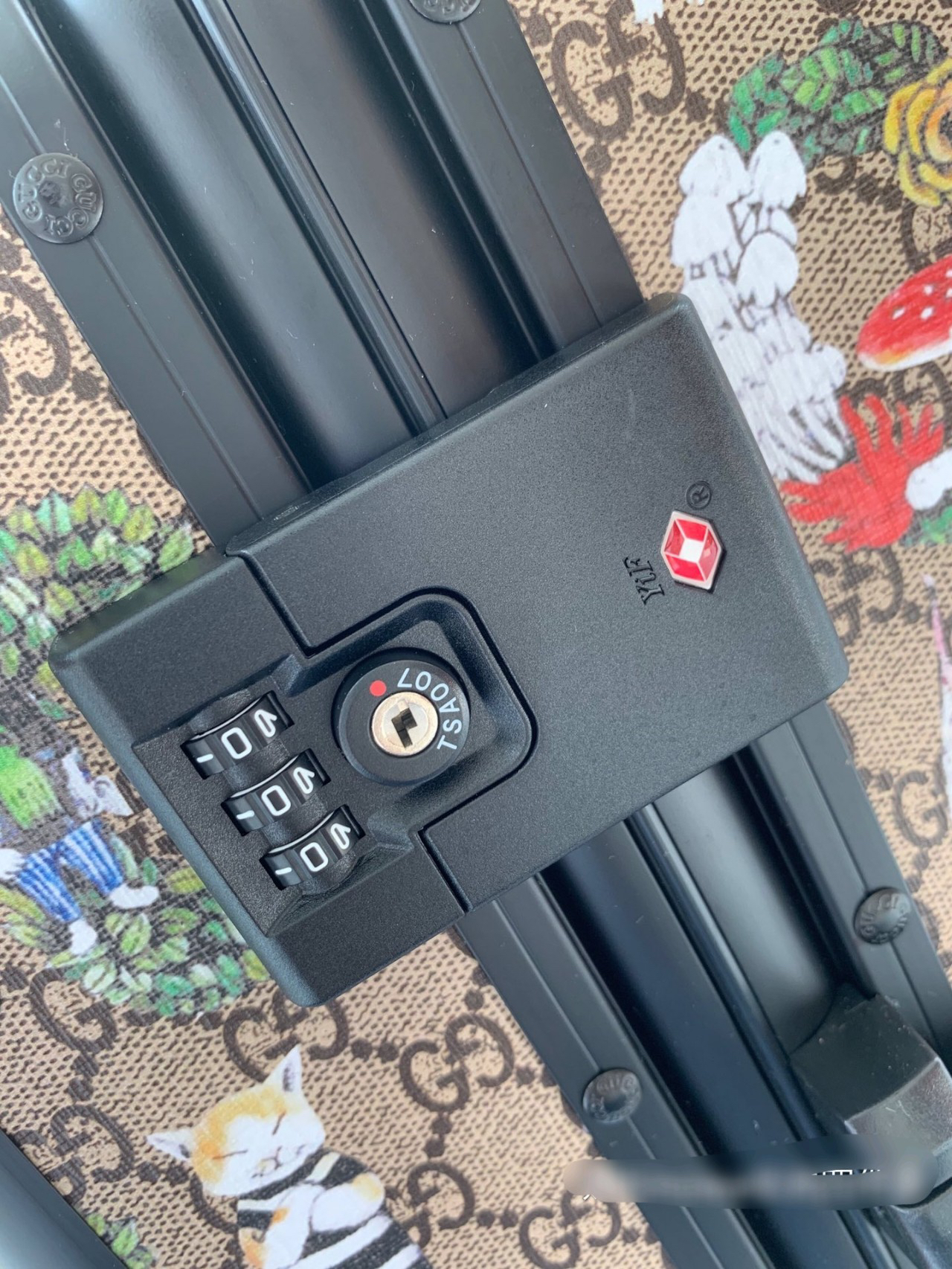 Gucci luggage-28