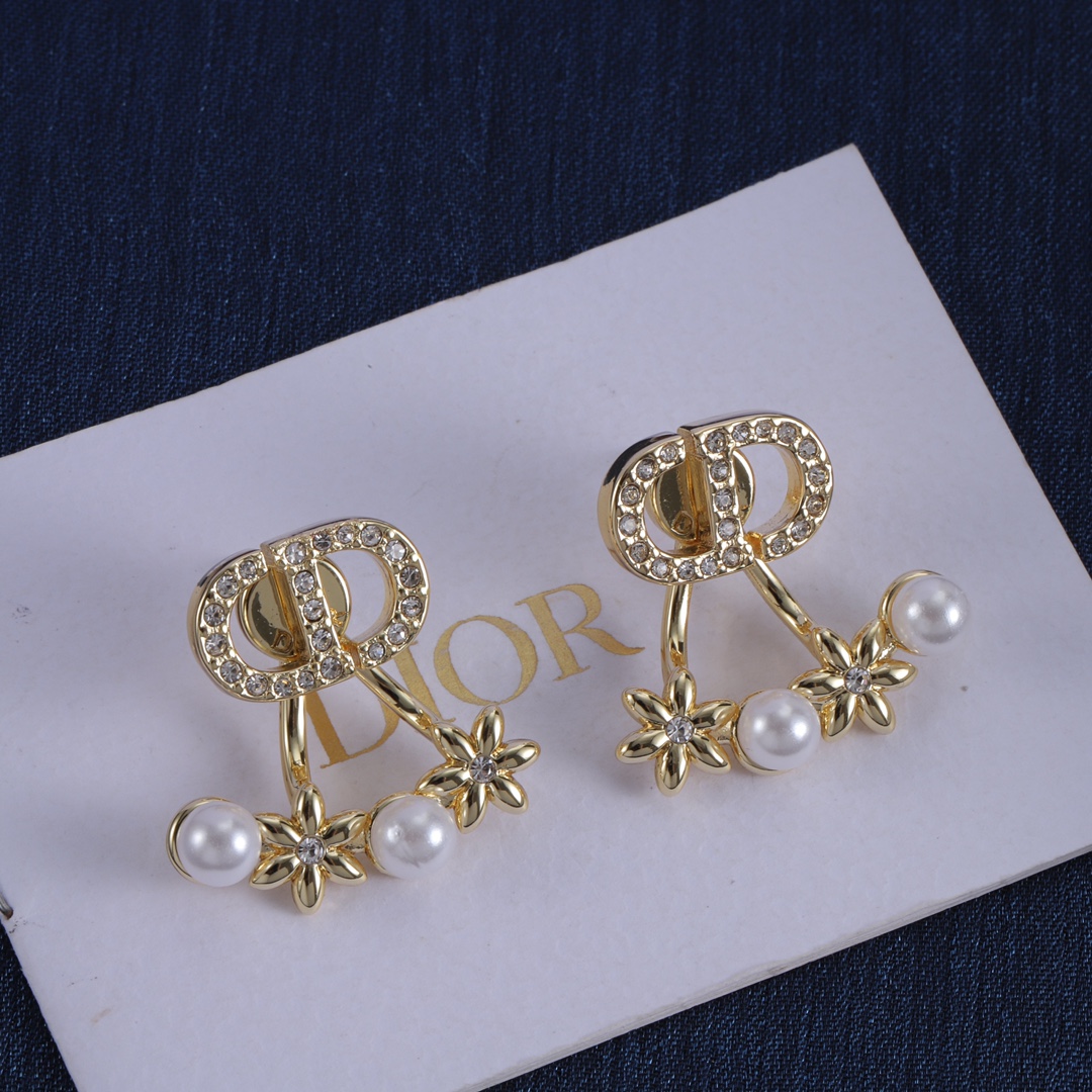 Dior earrings-50