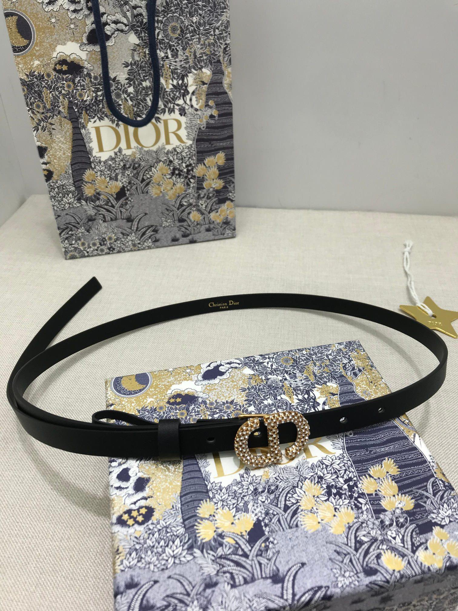 Dior belt-14