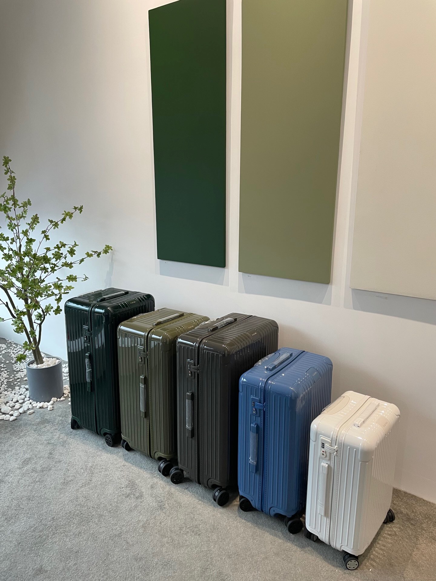 RIMOWA luggage-102