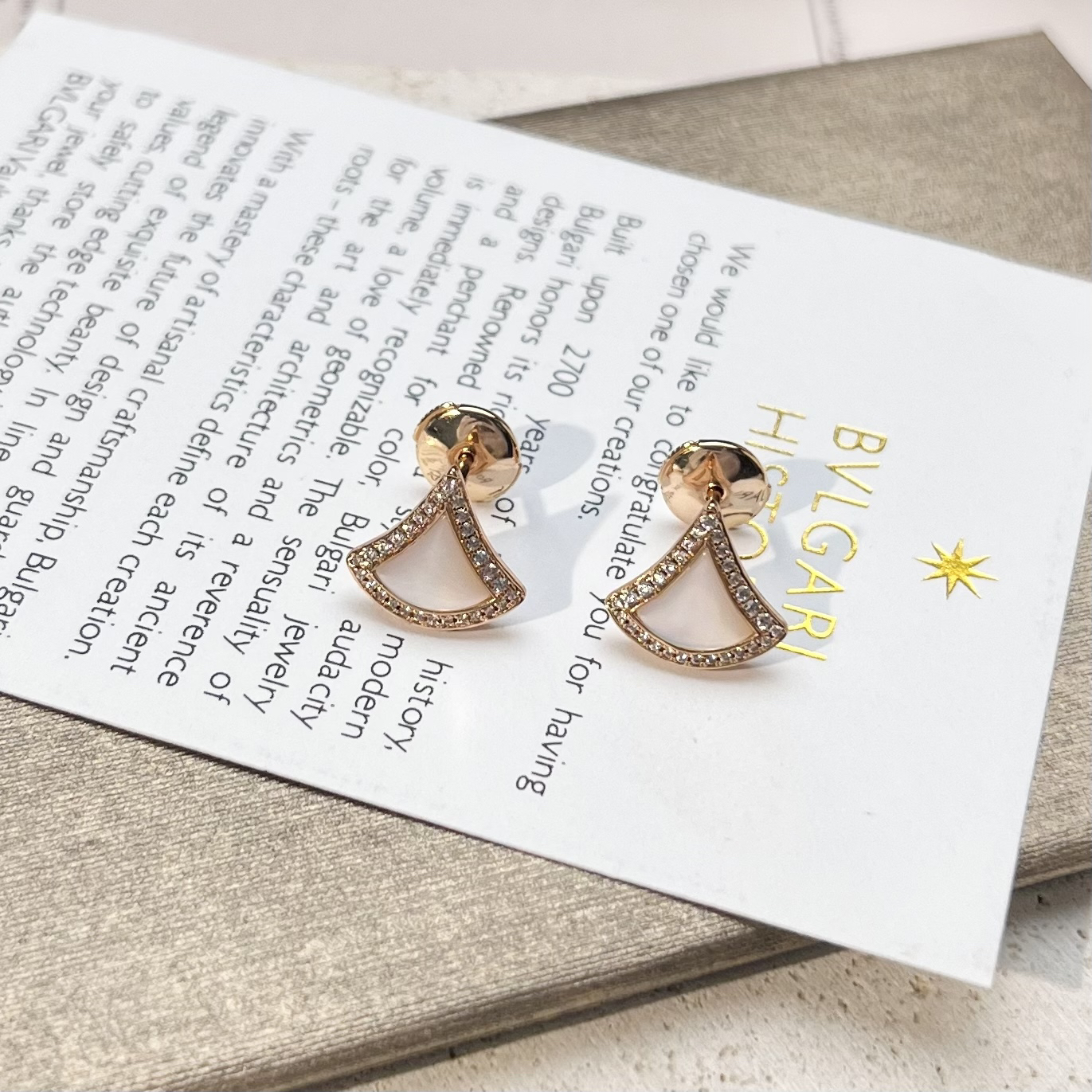 Bottega Veneta earrings-32